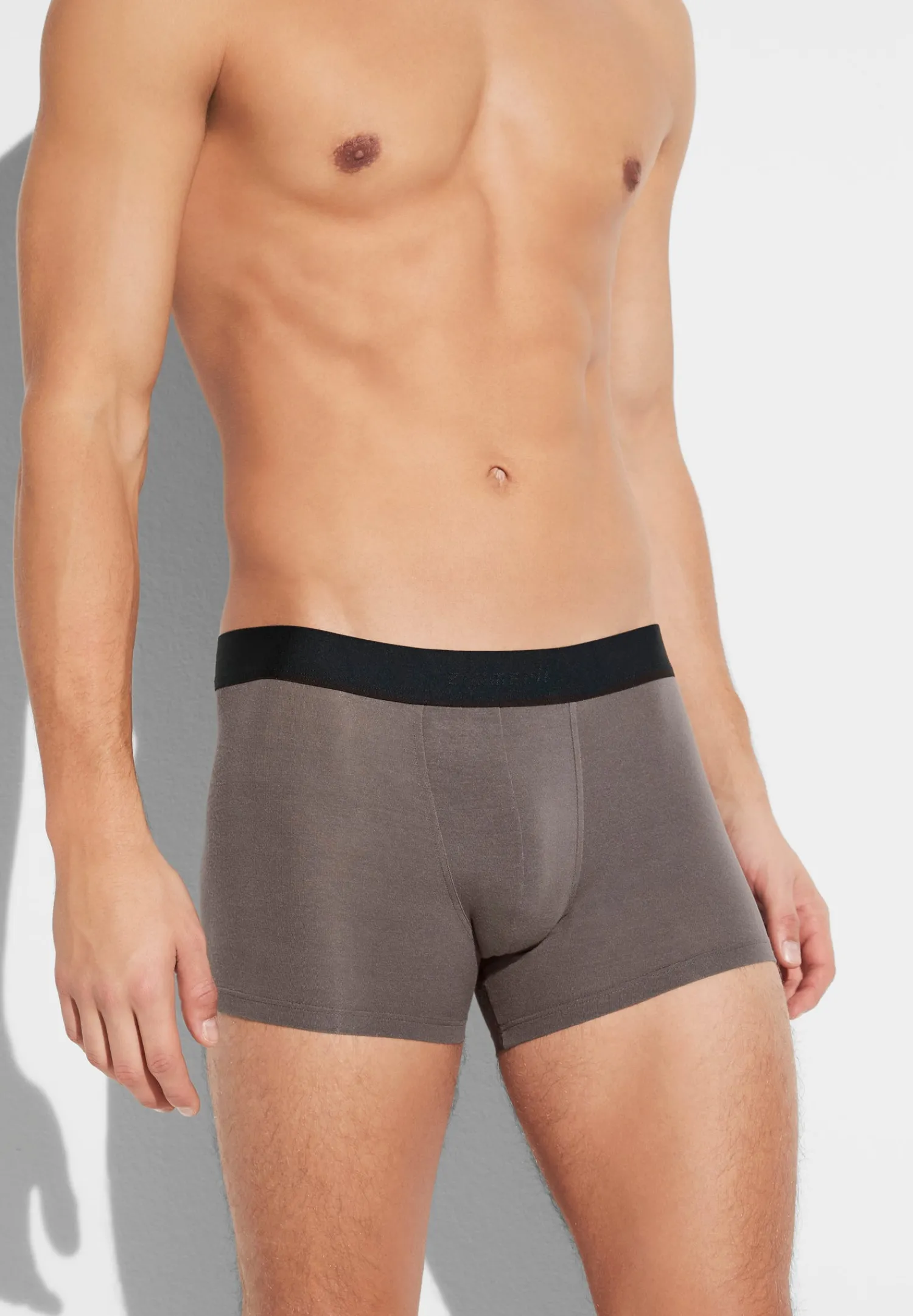 Pureness|Caleçons Et Boxer Briefs-Zimmerli PurenessBoxer Trunk - maple wood